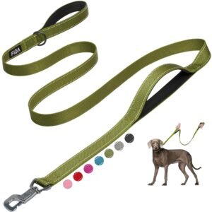 Fida 6 FT Heavy Duty Dog Leash with 2 Comfortable Padded Handles, Traffic Handle & Advanced Easy Snap Hook, Reflective Walking Lead for Large, Medium & Small Breed, Green