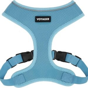Best Pet Supplies Voyager Aerolite No Pull Mesh Dog Harness, Reflective Stitching, Breathable Harness, Adjustable for Walking, Training, Running, Heavy Duty and Durable, Baby Blue, M