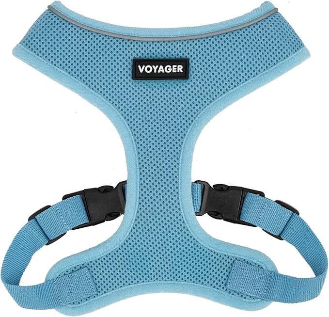 Best Pet Supplies Voyager Aerolite No Pull Mesh Dog Harness, Reflective Stitching, Breathable Harness, Adjustable for Walking, Training, Running, Heavy Duty and Durable, Baby Blue, M