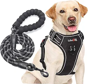 TobeDRI No Pull Dog Harness Adjustable Reflective Oxford Easy Control Harness with A Free Heavy Duty 5ft Dog Leash (S (Neck: 13"-18", Chest: 17.5"-22"), Black Harness+Leash)